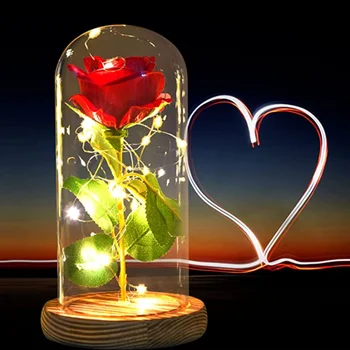 2022 Valentinovo Darilo LED Začaran Galaxy Rose Večno 24K Zlata Folija Cvet z Pravljice Niz Luči V Dome za odstranjevanje plevela