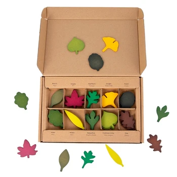 Lesene listi Montessori Igrača za baby Toddler Predšolskih identifikacija Kognitivnih igrače