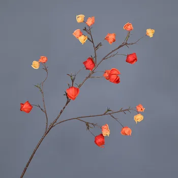 NOVA Velika Luč, Sadje umetno cvetje dom dekoracija dodatna oprema flores artificiales darila Foto Rekviziti