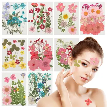 Posušeno Cvetje DIY UV Plesni Smolo Polnil Expoxy Cvet Za Nail Art Pritisnete Cvetje Za Obrt Za Dekoracijo Doma 0
