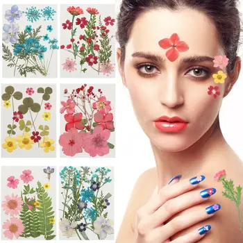 Posušeno Cvetje DIY UV Plesni Smolo Polnil Expoxy Cvet Za Nail Art Pritisnete Cvetje Za Obrt Za Dekoracijo Doma 3