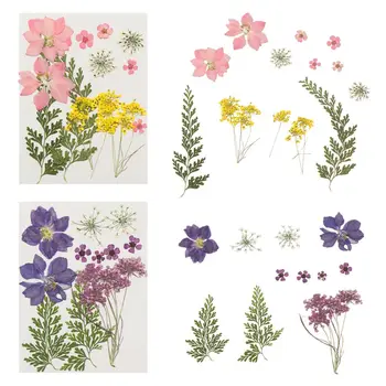 Posušeno Cvetje DIY UV Plesni Smolo Polnil Expoxy Cvet Za Nail Art Pritisnete Cvetje Za Obrt Za Dekoracijo Doma 4