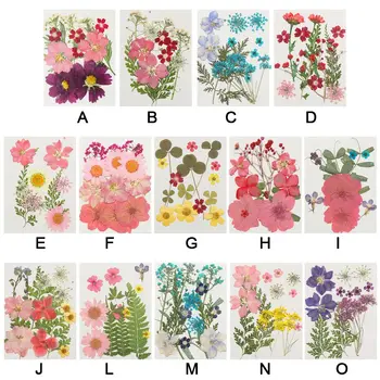 Posušeno Cvetje DIY UV Plesni Smolo Polnil Expoxy Cvet Za Nail Art Pritisnete Cvetje Za Obrt Za Dekoracijo Doma 5