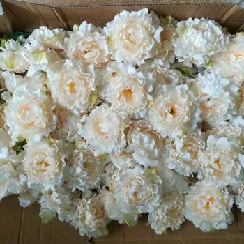 Quanlity Peony Glave Svile Peony Cvetje 15 cm Potonike 100 Cvetjem Debelo Večino Cvetje Za Poroko Kulise Fotografija Ozad