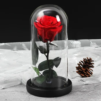 Svetlobna steklen pokrov Lepotica In Zver Večno Rose Cvet Cvetni Dekor valentinovo Gif Rojstni dan, Božič Poročno Darilo
