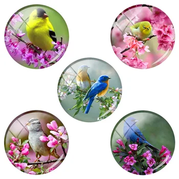 TAFREE Ptičja Twitter Vonj Cvetja Dekoracijo Slike Kroglice Steklene Obrti Krog Ravno Nazaj Nakit Ugotovitve 5pics/Veliko BD84