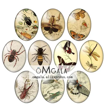 Vintage Metulj dragonfly čebel insektov 10pcs 13x18mm/18x25mm/30x40mm Ovalne foto stekla chrysoprase demo ravno nazaj, Kar ugotovitve