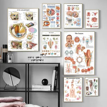 Človeške Znanosti Človeškega Telesa Organov, Srce, Možgani Svile Plakat Medicinskega Znanja Izobraževanje Tiskanje Bolnišnici Stenske Slike Dekoracijo 1